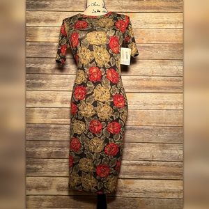 Lularoe Julia Dress XXS ⚡️